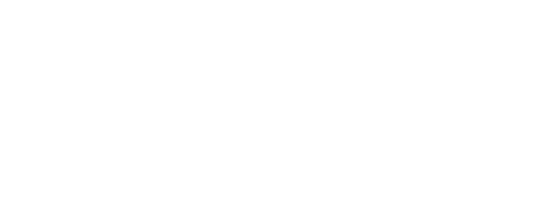 Bachatamania